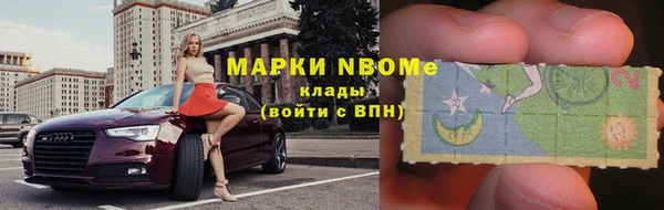 мдпв Гусев