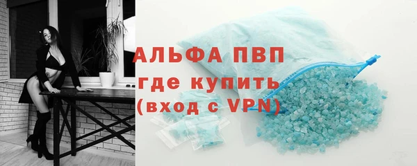 ПСИЛОЦИБИНОВЫЕ ГРИБЫ Волосово