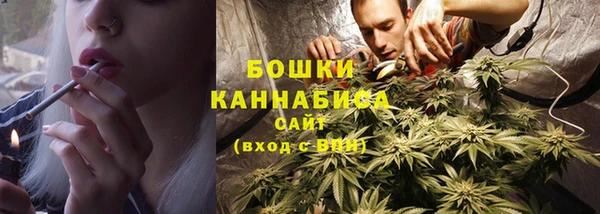 тгк Осташков
